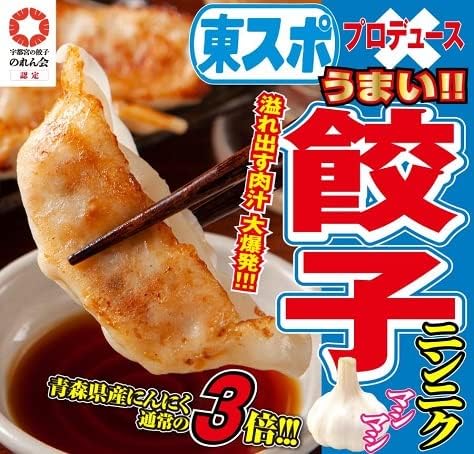 東スポ ニンニクマシマシ餃子 22gx50個 冷凍餃子 宇都宮の餃子