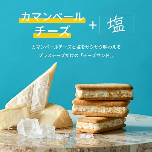 +Cheese プラスチーズ 11個（チーズサンド×6、チーズタルト×5）（スイーツ 洋菓子 内祝い 御菓子 お菓子 ギフト 詰め合わせ お中元）