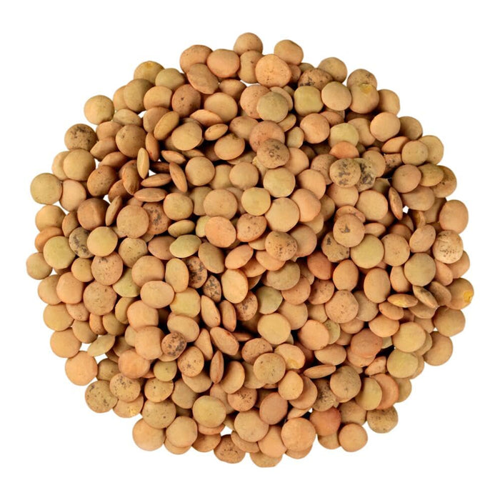 ロコロ レンズ豆 400g