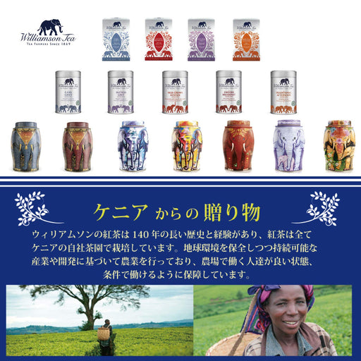 ウィリアムソン ウィンターリース(クリスマスブレンド) 2gx40P